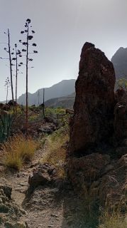 GC-Necropolis de Arteara 2026-30.jpg